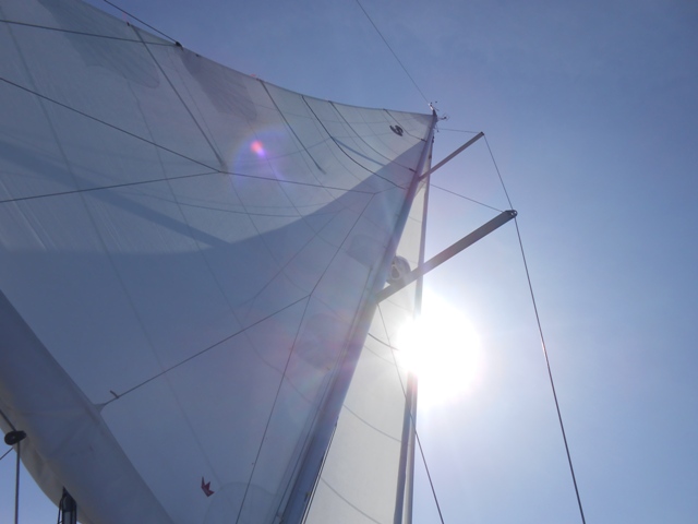 DSCN3125